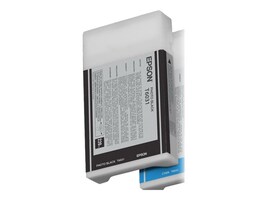 Epson T603100 Main Image from Right-angle