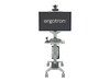 Ergotron Neo-Flex WideView WorkSpace, Two-Tone Gray, 24-189-055, 9356716, Computer Carts