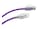 ENET C6A-PR-SCB-2-ENC Image 1 from Right-angle ENET C6A-PR-SCB-2-ENC Image 1 from Right-angle