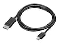 Lenovo Mini DisplayPort to DisplayPort Cable, 0B47091, 14755851, Cables