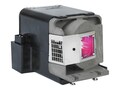 BTI Replacement Lamp for PJD6241, PJD6381, PJD6531W, RLC-049-OE, 32422072, Projector Lamps
