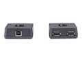 Black Box USB 1.1 & 2.2 CAT5 Extender 2P, IC282A, 22245762, Adapters & Port Converters Black Box USB 1.1 & 2.2 CAT5 Extender 2P, IC282A, 22245762, Adapters & Port Converters