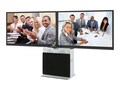 Avteq AV STAND SUPPORTS 2 DISPLAYS U, ELT-2100L-B                   , 41954338, Monitor & Display Accessories