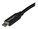 StarTech.com USB2C5C2M Image 4 from Close-up