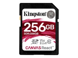Kingston SDR/256GB Main Image from Front