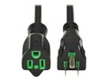 Tripp Lite 10ft Safe-IT Power Cord , P022AB-010-HG, 41367894, Power Cords
