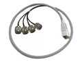 AccelTex 100 Series 4 Port DART to N-Style Plug Cable Assembly, 10, ATS-00015 , 41959198, Cables AccelTex 100 Series 4 Port DART to N-Style Plug Cable Assembly, 10, ATS-00015 , 41959198, Cables