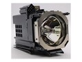 BTI Replacement Lamp for SRX-R510DS, SRX-R510P, SRX-R515DS, SRX-R515P, SRX-T615, LKRM-U450-BTI                 , 41820507, Projector Lamps