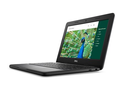 Dell Chromebook 3120 2-in-1 Intel N100 8GB 64GB eMMC ax BT WC 11.6 HD MT Chrome OS, YG2M1 , 41945372, Notebooks - Convertible - Chrome Dell Chromebook 3120 2-in-1 Intel N100 8GB 64GB eMMC ax BT WC 11.6 HD MT Chrome OS, YG2M1 , 41945372, Notebooks - Convertible - Chrome