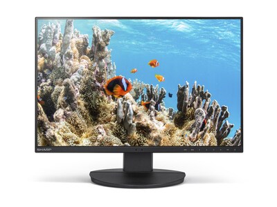 Sharp NEC  DD EA242W 24 Desktop Monitor, DD-EA242W                     , 42023699, Monitors