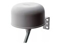 AccelTex 2.4 5 GHz 4 6dbi 4 Element Indoor Outdoor Omni Antenna w RPTNC, ATS-OO-245-46-4RPTP-36, 36215708, Wireless Antennas & Extenders