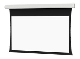 Da-Lite Screen Company 21802L                         Main Image from Right-angle