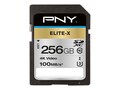 PNY 256 SDXC UI-U3 V30 R100 Ex GE , P-SD256U3100EX-GE, 41199914, Memory