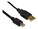 Startech Com Mini Displayport To Dual Link Dvi Active Adapter Mdp2dvid2 Startech Com Mini Displayport To Dual Link Dvi Active Adapter Mdp2dvid2