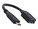 Apricorn ADAPTER-USB-A-C Image 1 from Left-angle
