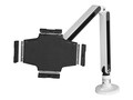 StarTech.com Desk-Mount Tablet Stand with Articulating Arm for 9-11 Tablets, ARMTBLTIW, 34052773, Stands & Mounts - Desktop Monitors