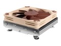 Noctua Low-Profile CPU Cooler- Black, NH-L9I-17XX                   , 42040312, Cooling Systems/Fans