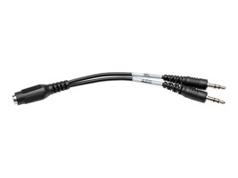 Tripp Lite P318-06N-FMM Main Image from Front