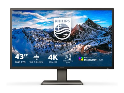 Philips 42.5 P-Line 4K Ultra HD LED-LCD Monitor, 439P1, 41791369, Monitors