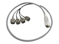 AccelTex 100 Series 4 Port DART to N-Style Plug, ATS-100-4PDART-NP-3ft, 41296189, Cables