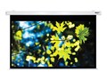 Hamilton 100 INCH DIAGONAL. 53X85 ELE, HBS5385                       , 41995979, Monitor & Display Accessories