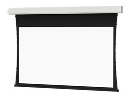 Da-Lite Screen Company 29900LS                        Main Image from Right-angle