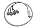 AccelTex 100 Series 4 Port DART to N-Style Plug Cable Assembly, 2ft, ATS-00016                     , 41959760, Cables