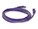 AddOn ADD-6FCAT6S-PE Image 6 from Back AddOn ADD-6FCAT6S-PE Image 6 from Back