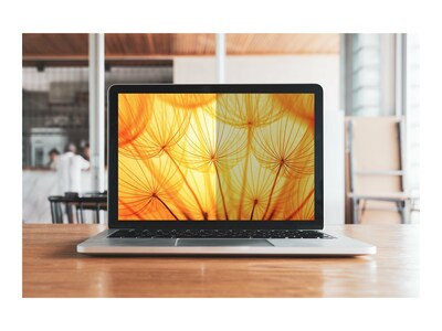 3M Bright Screen Privacy Filter for 14 16:9 Laptop, BP140W9B, 41641583, Glare Filters & Privacy Screens