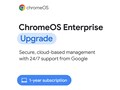 Google Corp. Chrome Enterprise Upgrade Annual 12 Month Term, CROSSWDIS12MOSTD, 41627608, Software - Operating Systems