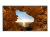 Sharp NEC  48 V484 Full HD LED-LCD Display, Black, V484, 33802341, Monitors - Large Format Sharp NEC  48 V484 Full HD LED-LCD Display, Black, V484, 33802341, Monitors - Large Format