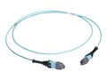 Black Box 12-Strand MTP OM3 Type A Plenum Fiber Optic Trunk Cable, Aqua, 10m, FOTC20M3MP12AQ-10R2, 41550922, Cables