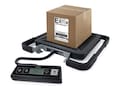 DYMO S100 Digital Shipping Scale, 100lb, 1776111, 12977863, Office Supplies