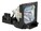 BTI TLPL78-OE Image 1 from Left-angle
