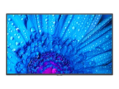 Sharp NEC  Open Box 65 M651 4K Ultra HD LED-LCD Display, M651                          , 41874057, Monitors - Large-Format
