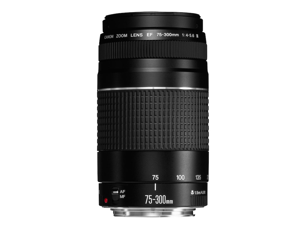 Kudde noodzaak Uitvoerbaar Canon Telephoto Zoom Lens: EF 75-300mm f 4-5.6 III (6473A003)