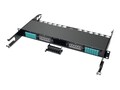 Tripp Lite 100Gb 120Gb Pass Through Cassette (x6) 24-Fiber MTP MPO Coupler, N482-6M24-6M24, 17918512, Cable Accessories