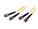 Tripp Lite N352-01M Image 1 from Right-angle