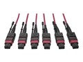 Tripp Lite 24-Fiber 3xMTP to 3xMTP F F 40 100GBASE-SR4 OM4 Multimode Base-8 Plenum Trunk Cable, Magenta, 61m, N858-61M-3X8-MG, 33415616, Cables
