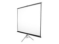 Elite Tripod Series Portable Floorstanding Screen, Matte White, 1:1, 119in, T119NWS1, 8699581, Projector Screens
