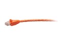 C2G F-Series CAT6 Snagless Unshielded (UTP) Network Cable, Orange, 1ft, TAA, C2G43528 , 41821918, Cables C2G F-Series CAT6 Snagless Unshielded (UTP) Network Cable, Orange, 1ft, TAA, C2G43528 , 41821918, Cables