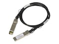 Netgear 1m Direct Attach SFP+ Cable, AXC761-10000S, 12354463, Cables