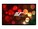 Elite Screens R135WH1-A1080P3 Image 1 from Front