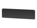 Intellinet 19 Blank Panel, 3U, 716475                        , 41866980, Rack Mount Accessories
