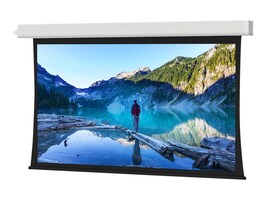 Da-Lite Screen Company 24718L                         Main Image from Right-angle