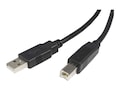 StarTech.com USB 2.0 Certified Cable, USB Type A to USB Type B (M-M), Black, 6ft, USB2HAB6, 12287011, Cables StarTech.com USB 2.0 Certified Cable, USB Type A to USB Type B (M-M), Black, 6ft, USB2HAB6, 12287011, Cables