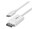 StarTech.com CDP2DP2MBW                     Image 4 from Left-angle