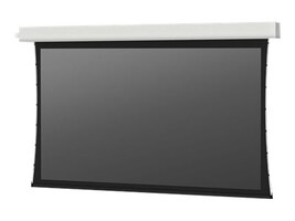 Da-Lite Screen Company 29667LS                        Main Image from Right-angle