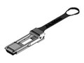 Extreme Networks QSFP28 to SFP28 ADPT , 10506, 41106069, Cables
