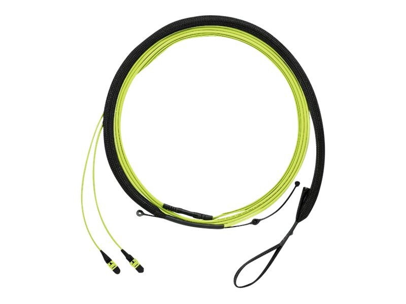 Panduit 24 Fiber Panmpo To Panmpo F F Method B Ultra Insertion